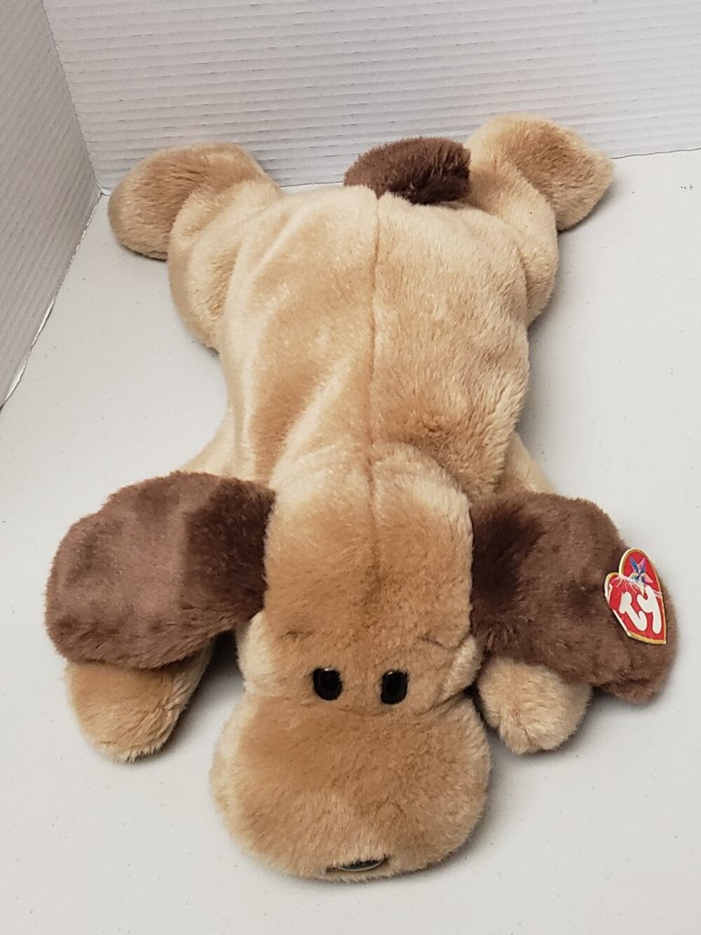 Ty Beanie Buddy Bones